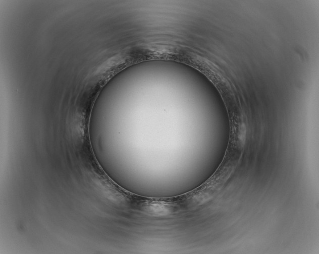 X0000111010710200906191612