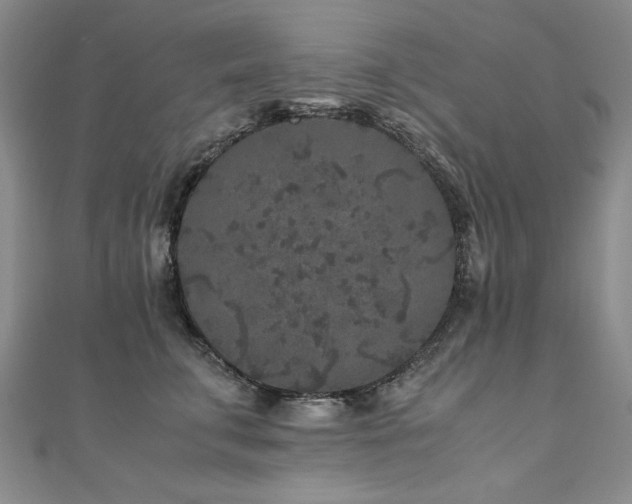 X0000111010711200906191612