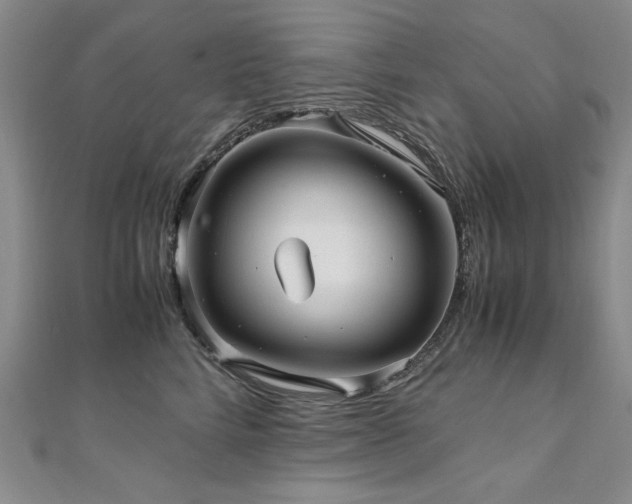 X0000111010712200906191612