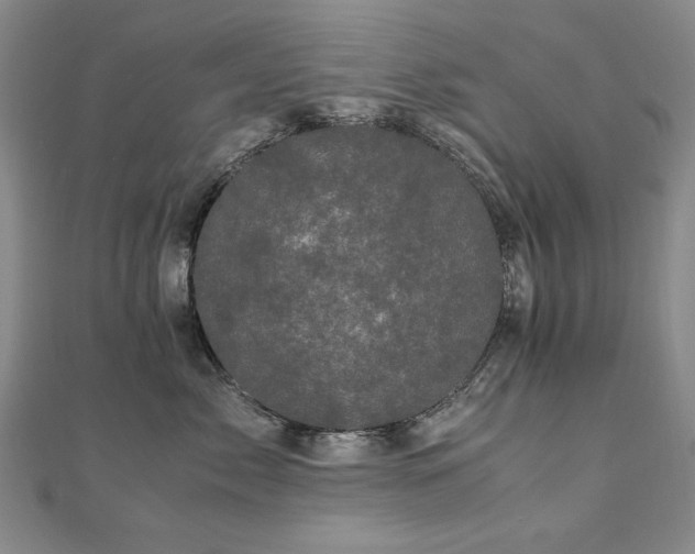 X0000111010717200906191612