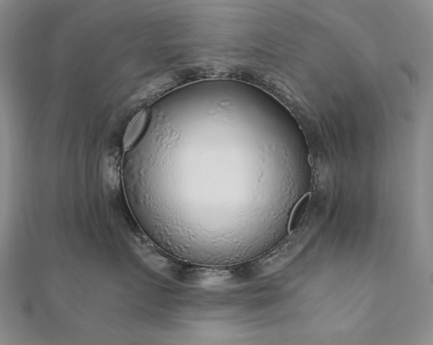 X0000111010719200906191612
