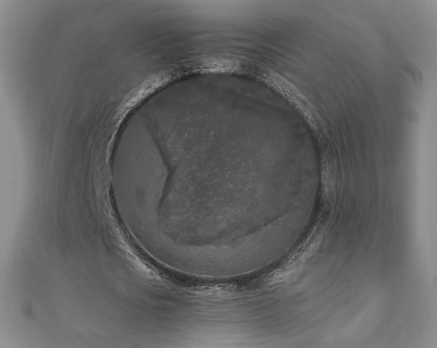 X0000111010721200906191611
