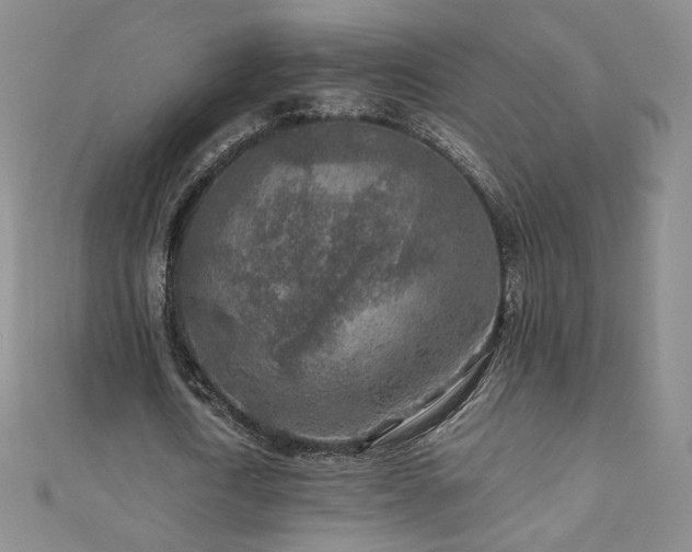 X0000111010722200906191611