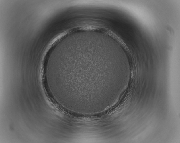 X0000111010724200906191611