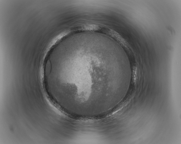 X0000111010726200906191611