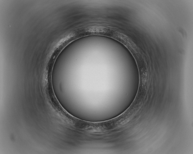 X0000111010727200906191611