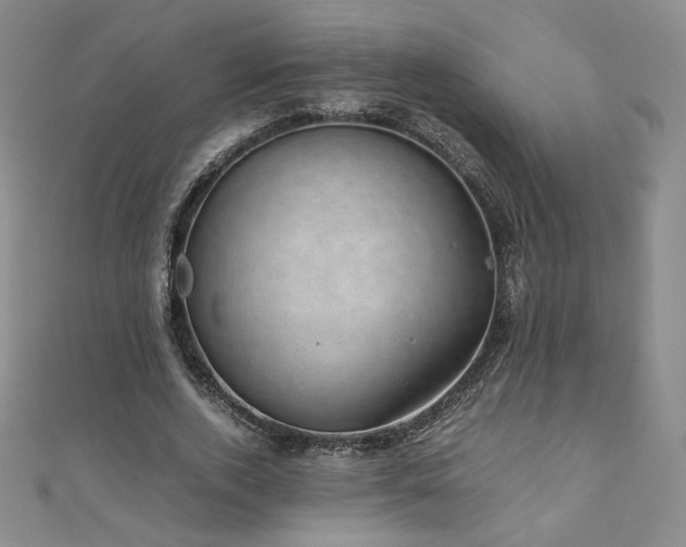 X0000111010728200906191611