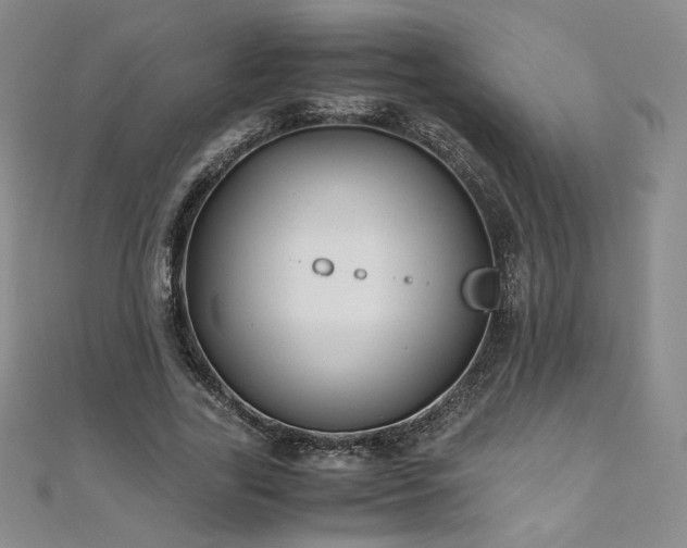 X0000111010731200906191611