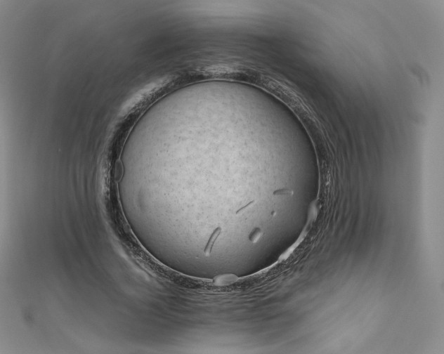 X0000111010732200906191611