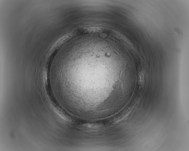 X0000111010733200906191611