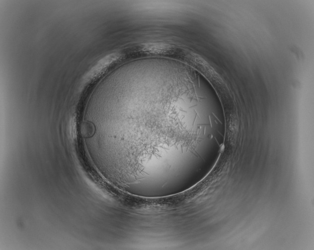 X0000111010734200906191611