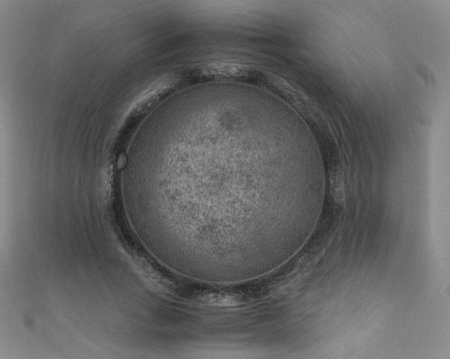 X0000111010735200906191611