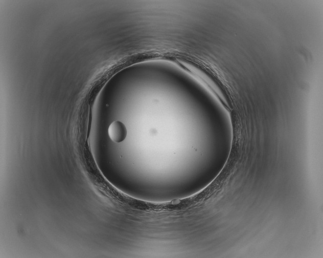 X0000111010736200906191611