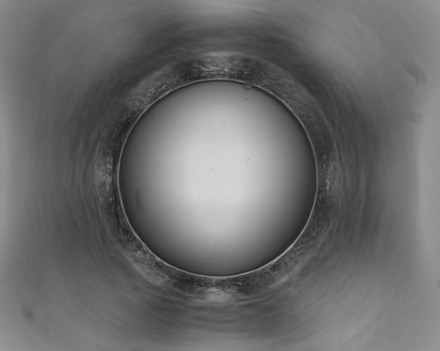 X0000111010737200906191611