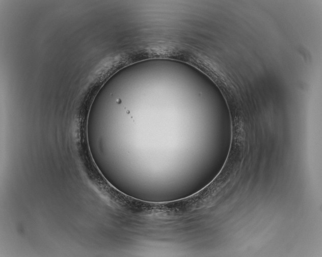 X0000111010738200906191611