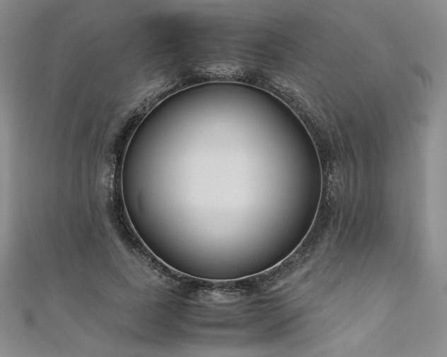 X0000111010739200906191611
