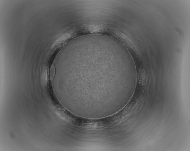 X0000111010740200906191611