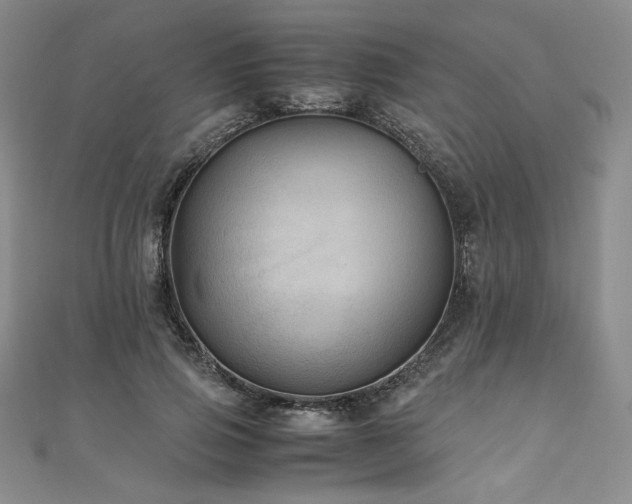 X0000111010741200906191611