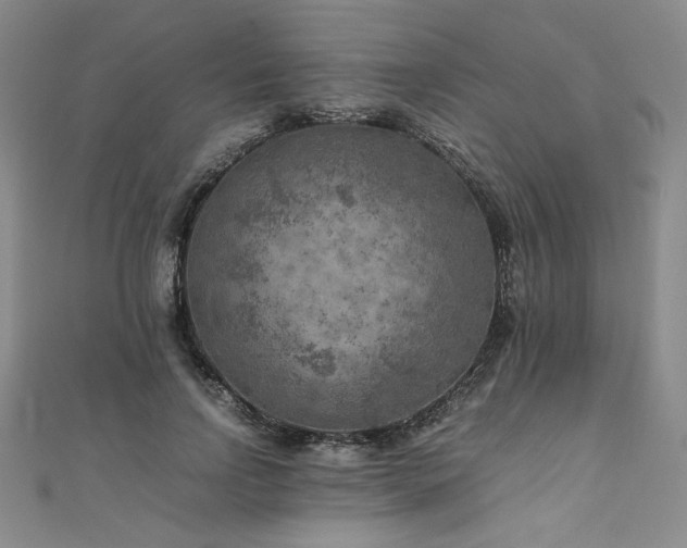 X0000111010742200906191611