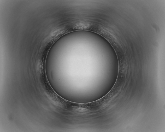 X0000111010743200906191611