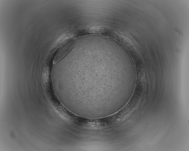 X0000111010744200906191611