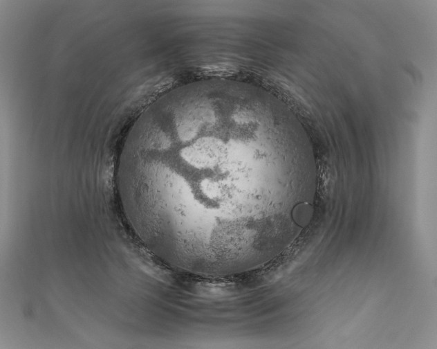 X0000111010745200906191611