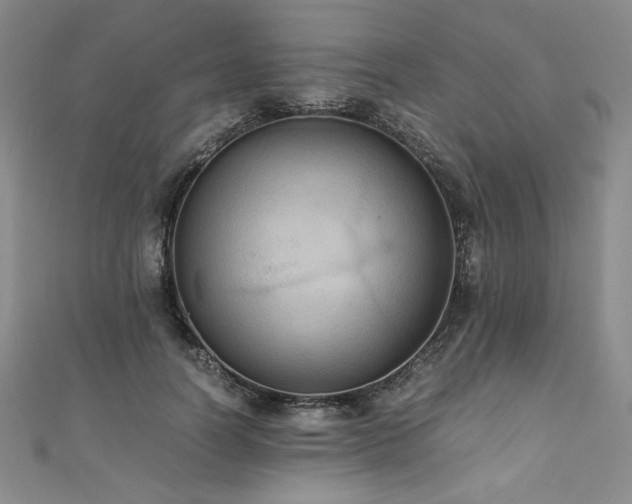X0000111010746200906191611