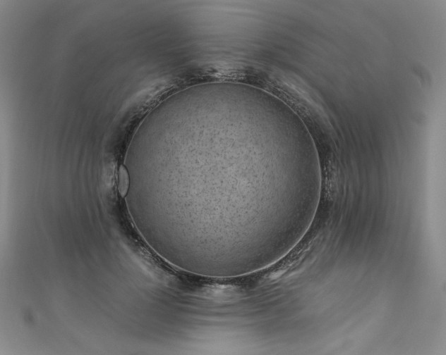 X0000111010748200906191611