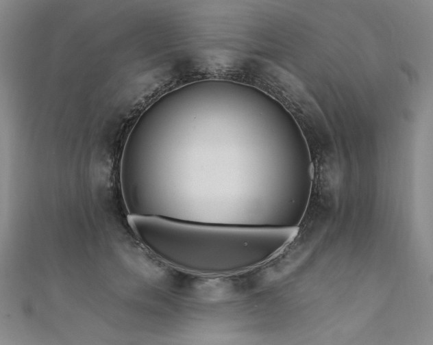 X0000111010750200906191611