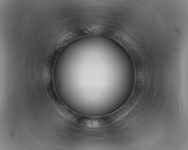 X0000111010751200906191611