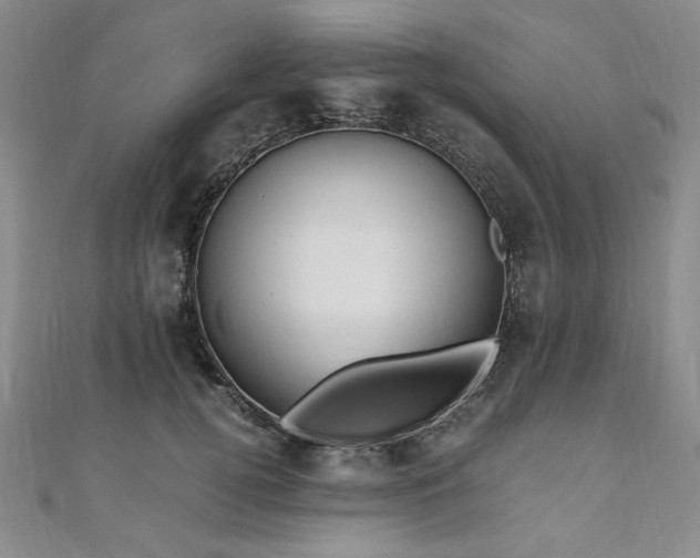 X0000111010752200906191611