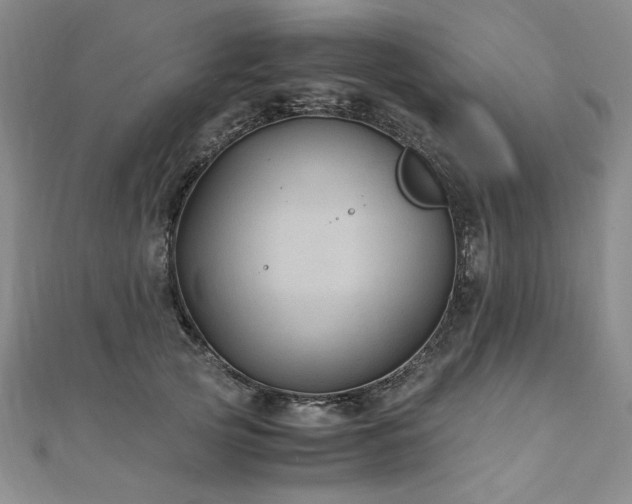 X0000111010753200906191611