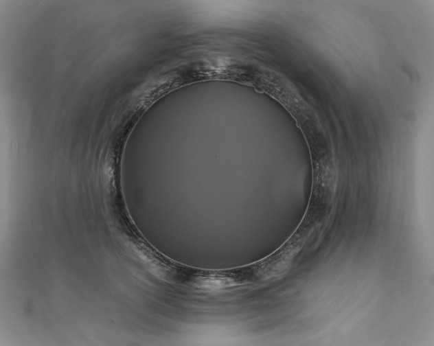 X0000111010754200906191611