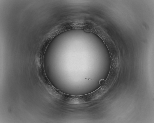 X0000111010755200906191611