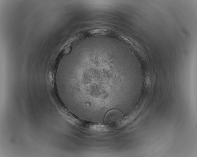 X0000111010759200906191611