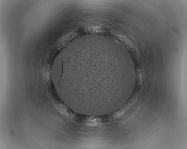 X0000111010760200906191611