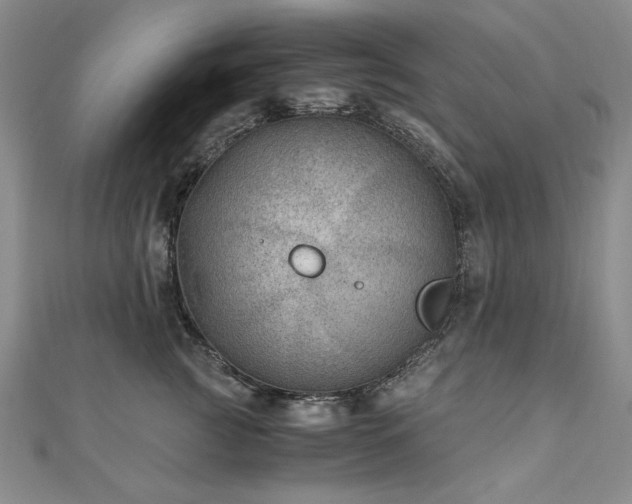 X0000111010761200906191611