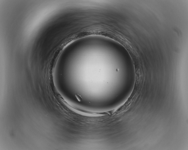 X0000111010762200906191611