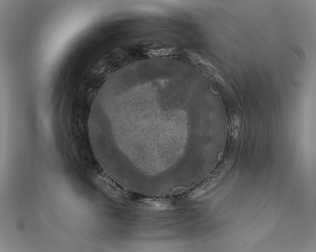 X0000111010763200906191612