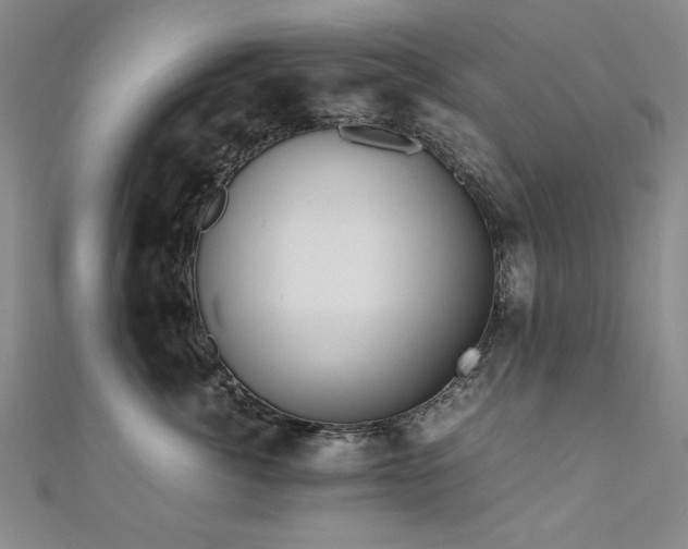 X0000111010764200906191612