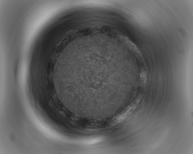X0000111010765200906191612