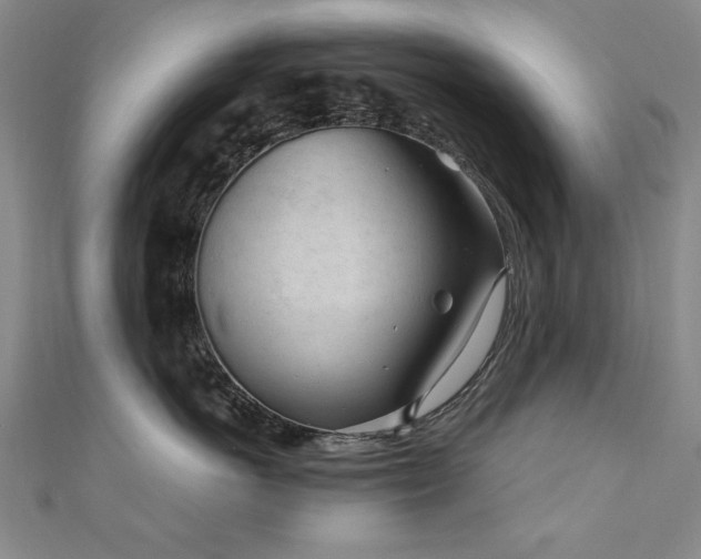 X0000111010766200906191612