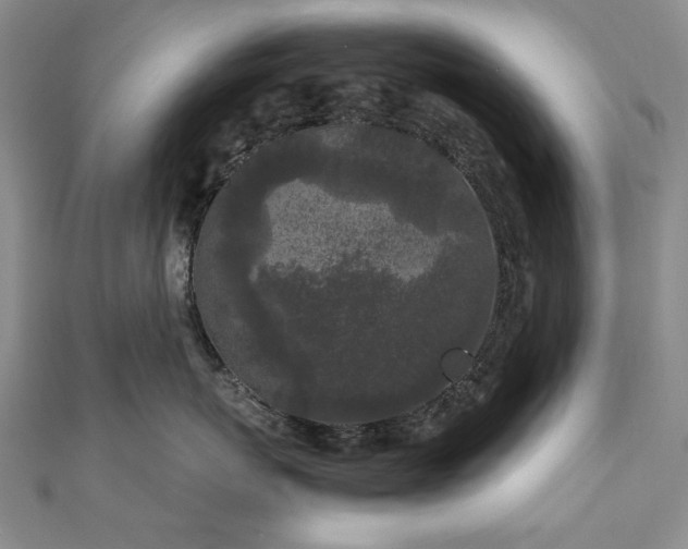 X0000111010767200906191612