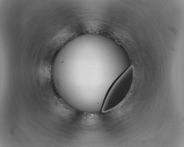 X0000111010768200906191612