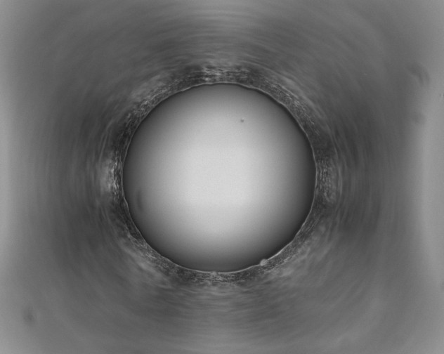 X0000111010770200906191611