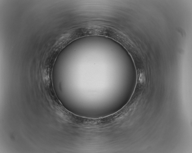 X0000111010771200906191611