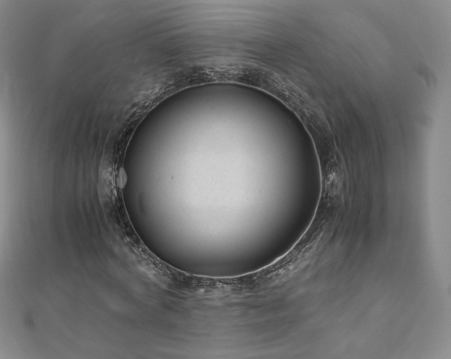 X0000111010772200906191611