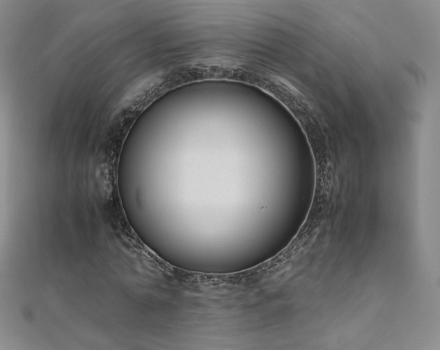 X0000111010774200906191611