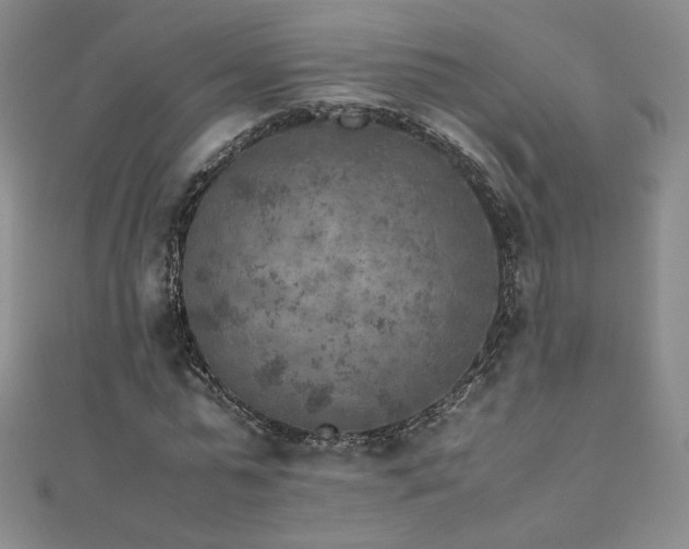 X0000111010775200906191611