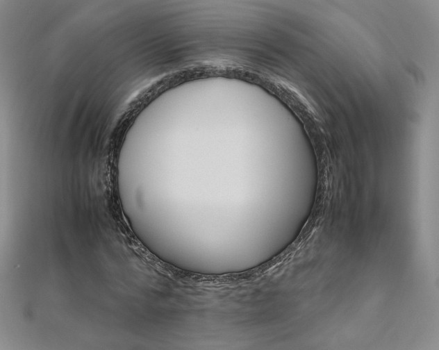 X0000111010776200906191611